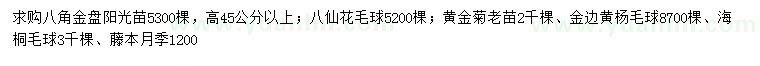 求購八角金盤、八仙花、黃金菊等