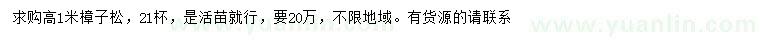 求購高1米樟子松