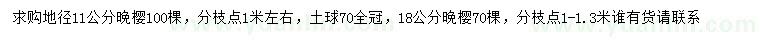 求購地徑11、18公分晚櫻