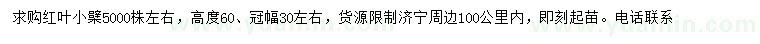 求購(gòu)高60公分紅葉小檗