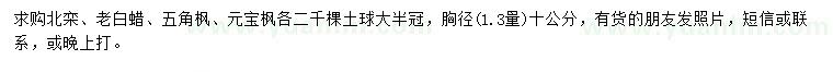 求購北欒、老白蠟、五角楓等