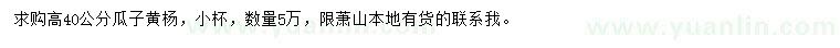 求購高40公分瓜子黃楊