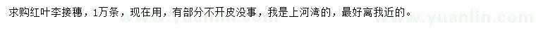 求購紅葉李接穗