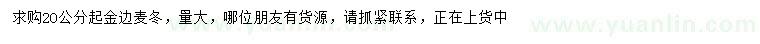 求購(gòu)2O公分起金邊麥冬
