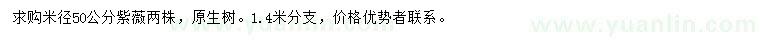 求購米徑50公分紫薇