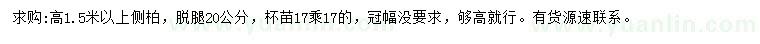 求購高1.5米以上側(cè)柏