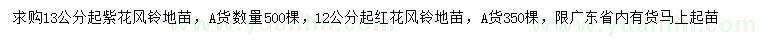 求購(gòu)13公分起紫花風(fēng)鈴、12公分起紅花風(fēng)鈴