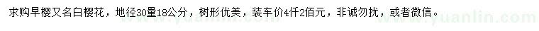 求購地徑30量18公分早櫻