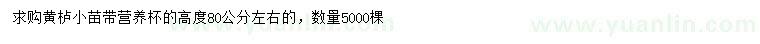 求購高80公分左右黃櫨