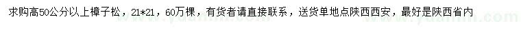 求購高50公分以上樟子松