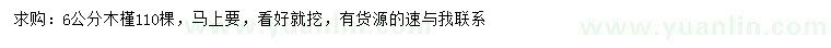 求購6公分木槿