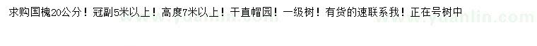 求購20公分國槐