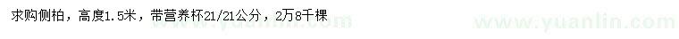 求購高1.5米側(cè)柏