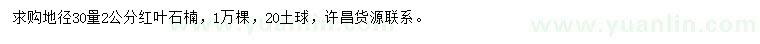 求購地徑30量2公分紅葉石楠