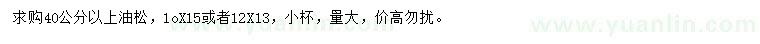 求購40公分以上油松