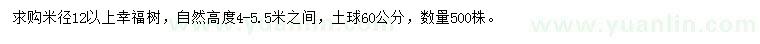 求購(gòu)米徑12公分以上幸福樹