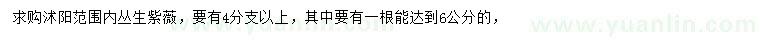求購叢生紫薇