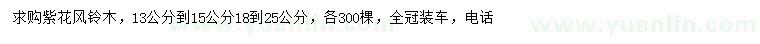 求購13-15公分紫花風(fēng)鈴木