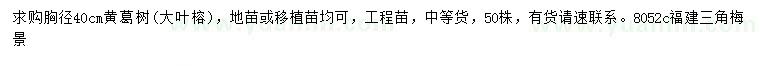 求購胸徑40公分黃葛樹