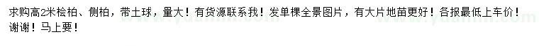 求購(gòu)高2米檜柏、側(cè)柏