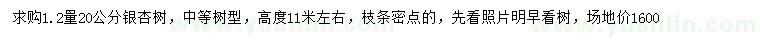 求購1.2量20公分銀杏
