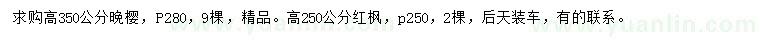求購高350公分晚櫻、高250公分紅楓
