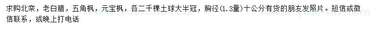 求購北欒、老白臘、五角楓等
