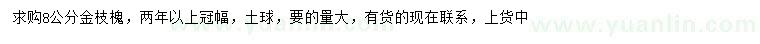 求購8公分金枝槐