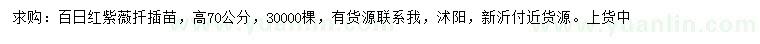 求購(gòu)高70公分百日紅紫薇