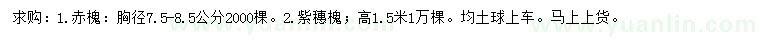 求購(gòu)胸徑7.5-8.5公赤槐、高1.5米紫穗槐