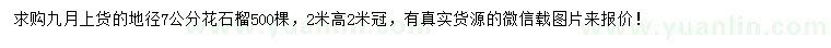 求購地徑7公分花石榴