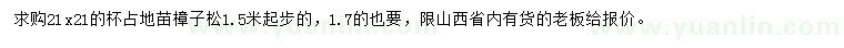 求購(gòu)1.5米起步占地苗樟子松