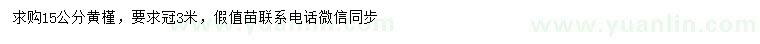 求購15公分黃槿
