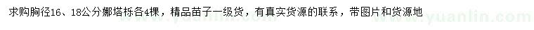 求購胸徑16、18公分娜塔櫟