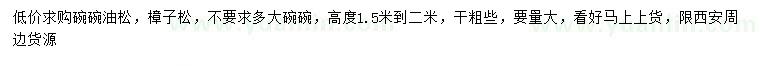 求購高1.5-2米油松、樟子松