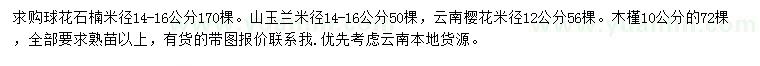 求購(gòu)球花石楠、山玉蘭、云南櫻花等