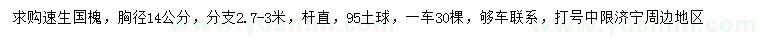 求購胸徑14公分速生國槐