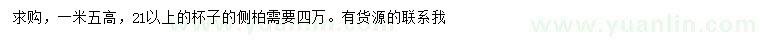 求購(gòu)高1.5米側(cè)柏
