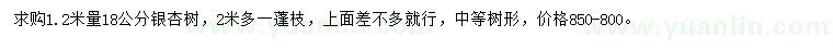 求購1.2米量18公分銀杏