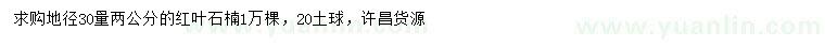 求購30量2公分紅葉石楠