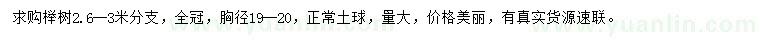 求購胸徑19-20公分櫸樹