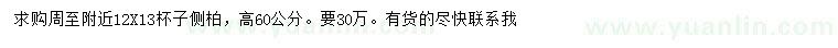 求購高60公分側(cè)柏