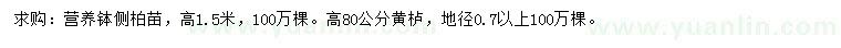 求購(gòu)高1.5米側(cè)柏、地徑0.7公分以上黃櫨