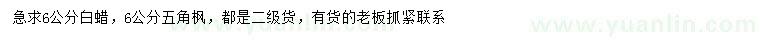 求購(gòu)6公分白蠟、五角楓