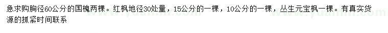 求購國槐、紅楓、叢生元寶楓