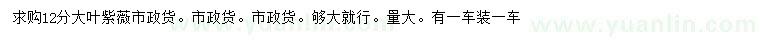 求購12公分大葉紫薇