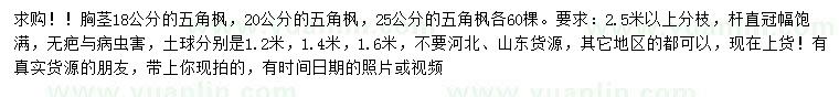 求購胸徑18、20、25公分五角楓