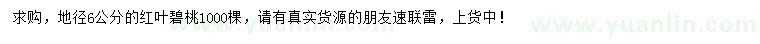求購(gòu)地徑6公分紅葉碧桃