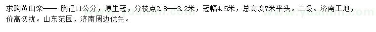 求購胸徑11公分黃山欒
