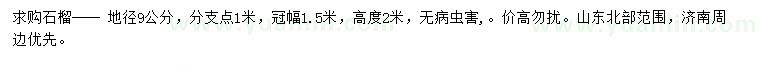 求購地徑9公分石榴